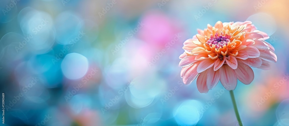 Fototapeta premium Captivating Flower Closeup in Blurry Background: A Mesmerizing Floral Shot with a Stunning Flower, Closeup Detail and Exquisite Blurry Background