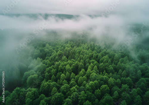 Greenery forest from top-view, ESG concept, Environmental Social and Governance, new global sustainability strategy for every corporates in a modern growth business.