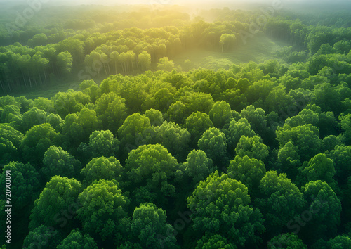 Greenery forest from top-view, ESG concept, Environmental Social and Governance, new global sustainability strategy for every corporates in a modern growth business. © littlekop
