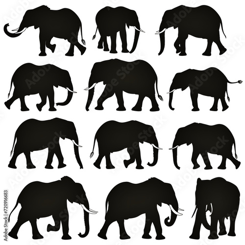 set of African elephants silhouettes on white background