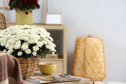 White chrysanthemum flowers...