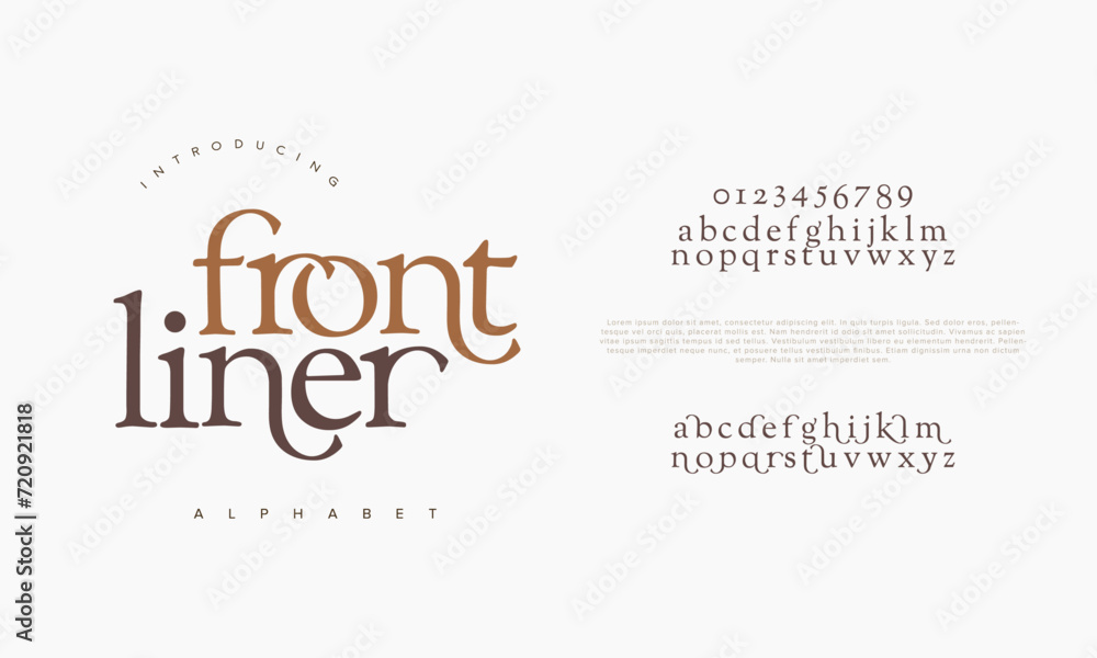 Frontliner premium luxury elegant alphabet letters and numbers. Elegant wedding typography classic serif font decorative vintage retro. Creative vector illustration Frontliner premium luxury elegant alphabet letters and numbers. Elegant wedding typography classic serif font decorative vintage retro. Creative vector illustration