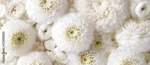 Captivating Round White Flower Blooms Gracefully in this Breathtaking Round, White Flower Composition
