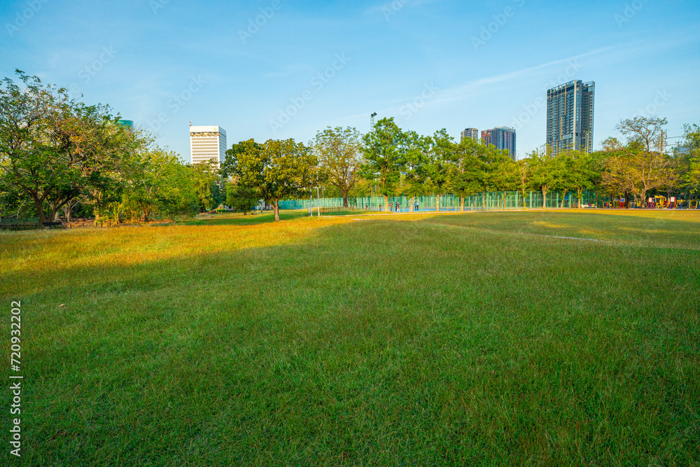Green meadow grass in city public park office building blue sky