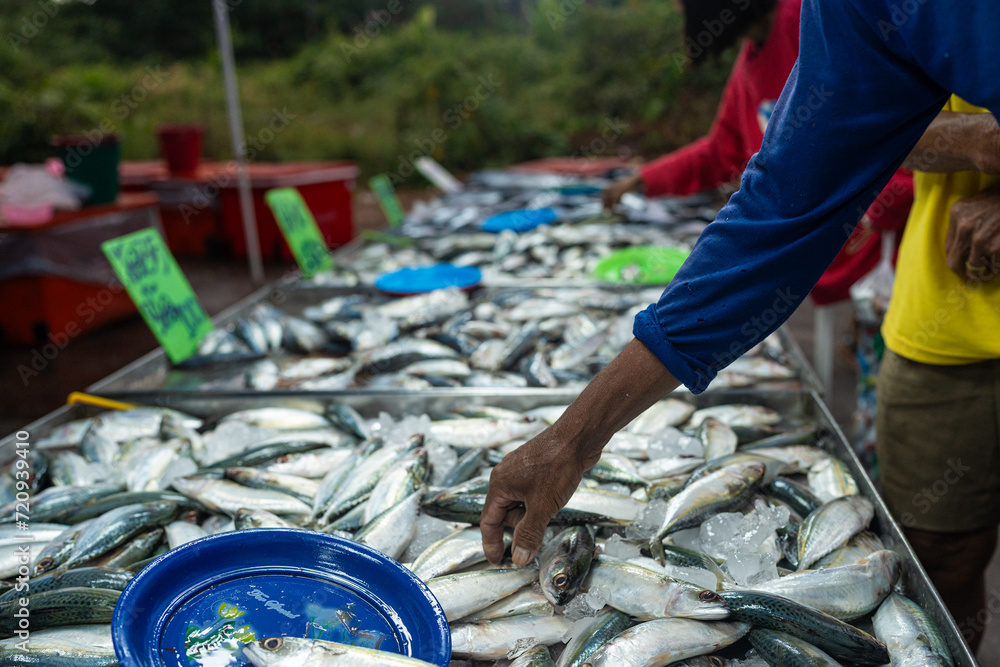 Obraz premium People hand choose and buy tuna seafood fish