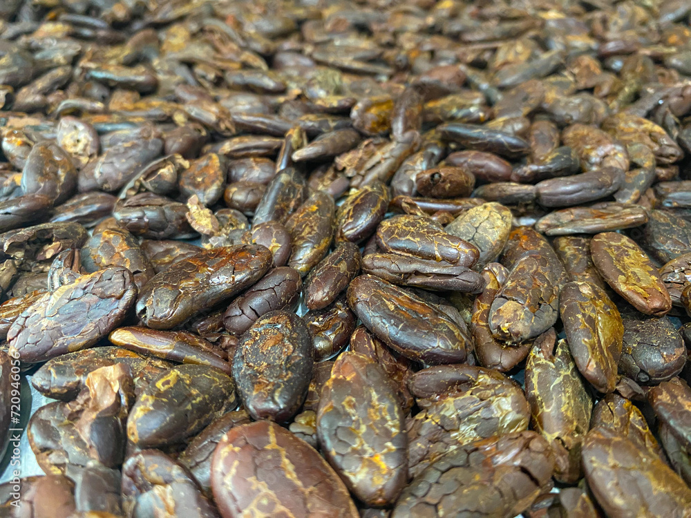 close up of a pile of dried cocoa beans close up of a pile of dried cocoa beans