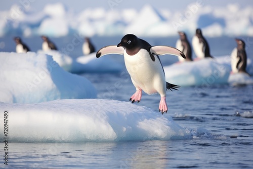 A penguin stands on a patch of ice in Antarctica, showcasing the remarkable adaptation of these birds to extreme cold environments.