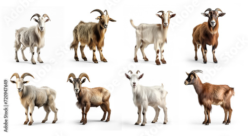 Collection of  goat against on transparency background PNG © KimlyPNG