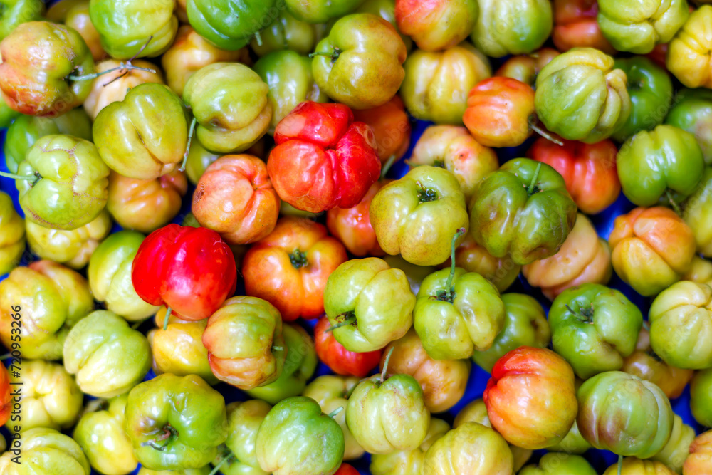 Barbados cherry or cherry ( scientific name Prunus ) Barbados cherry or cherry ( scientific name Prunus )