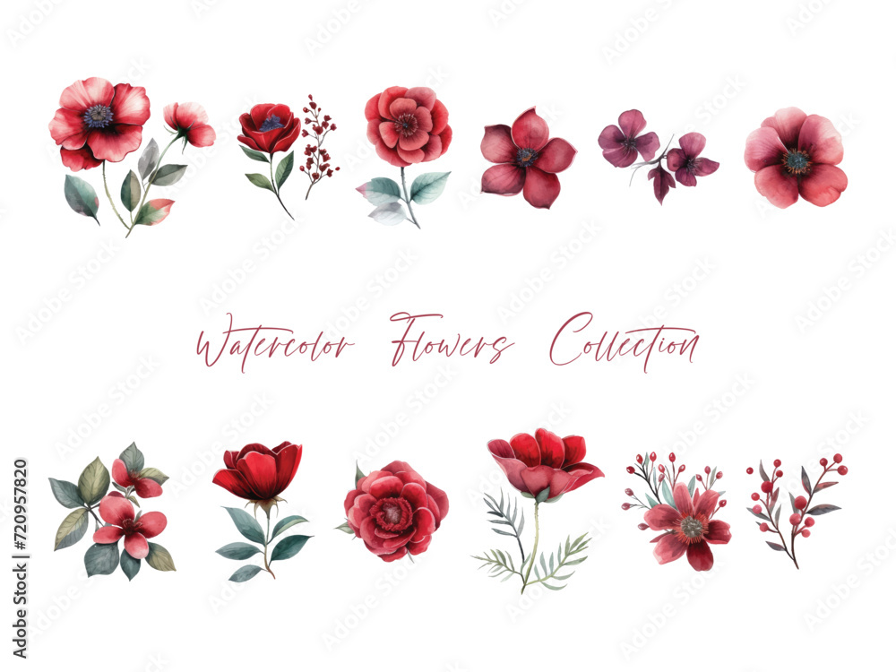 water color flower set, ultra HD red color is very detailed, which is suitable for wedding templates or other decoration purposes