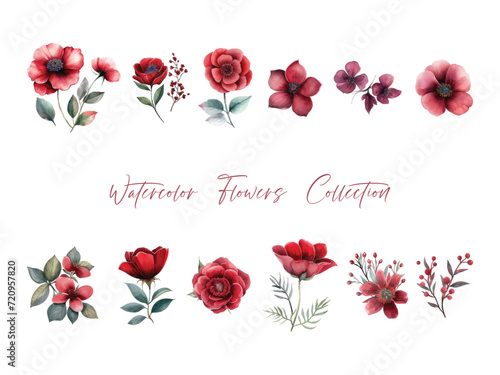 water color flower set, ultra HD red color is very detailed, which is suitable for wedding templates or other decoration purposes