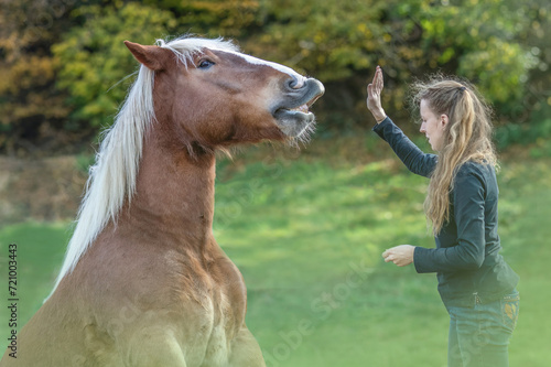 Foto A young adult woman in horsemanship trick training with her chestnut brown norik