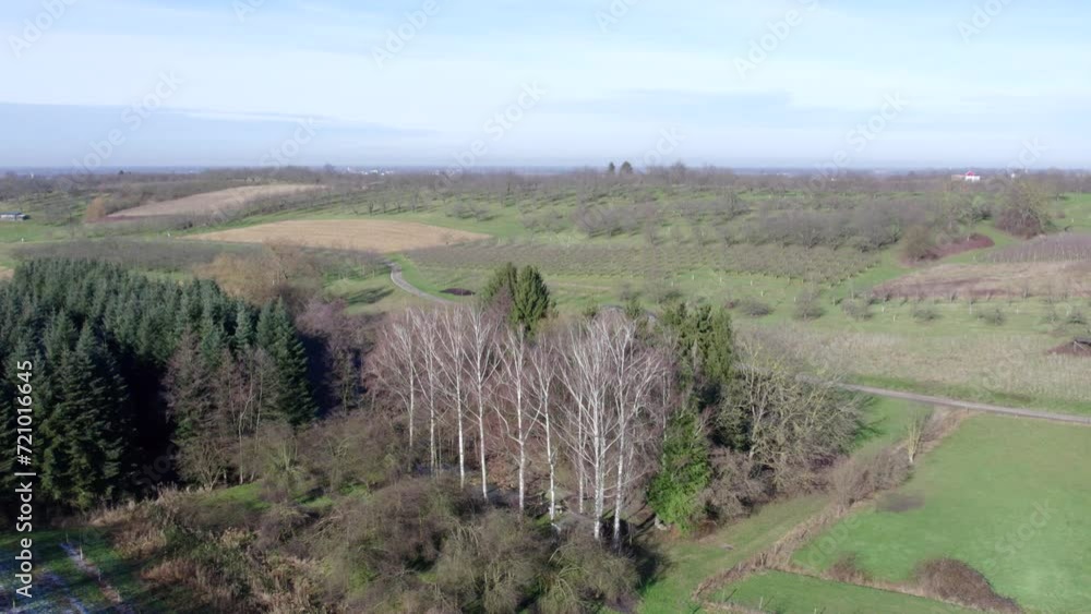 Aerial of scenic countryside with forest, hills and apple trees, Nesselried, Baden Wuerttemberg Aerial of scenic countryside with forest, hills and apple trees, Nesselried, Baden Wuerttemberg