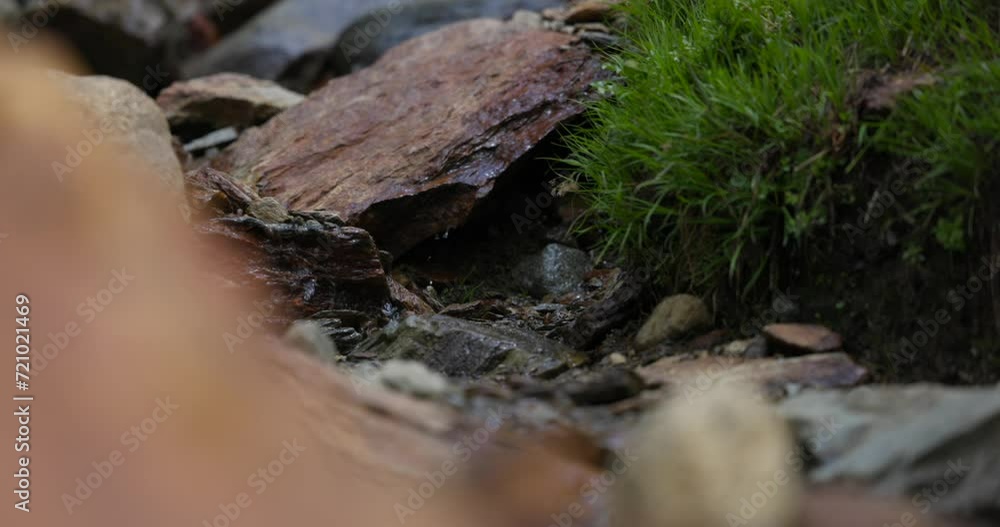 Hiking footwear crossing small mountain stream, close-up Hiking footwear crossing small mountain stream, close-up