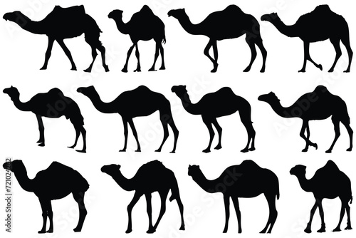 Camel silhouette set black logo animals silhouettes icons 