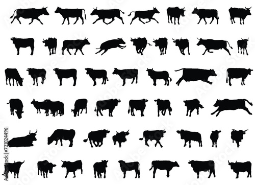 Cow Silhouette Vector Set on White Background photo