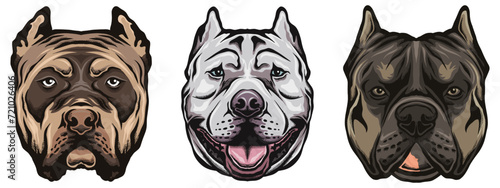 set of bulldog head vector illustration