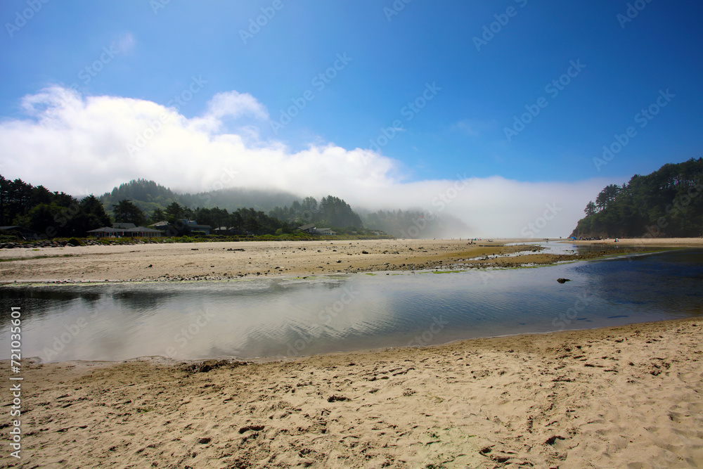 Pacific Northwest Coastline 