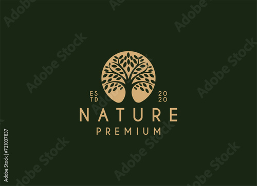 Nature tree logo design. Garden plant natural symbols template. Tree of life branch with leaves business sign collection