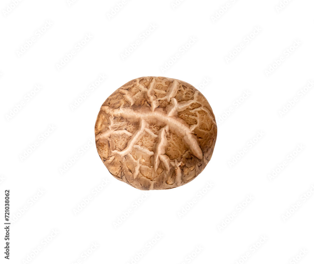 Top view of fresh or dry shiitake mushroom isolated on white background with clipping path Top view of fresh or dry shiitake mushroom isolated on white background with clipping path