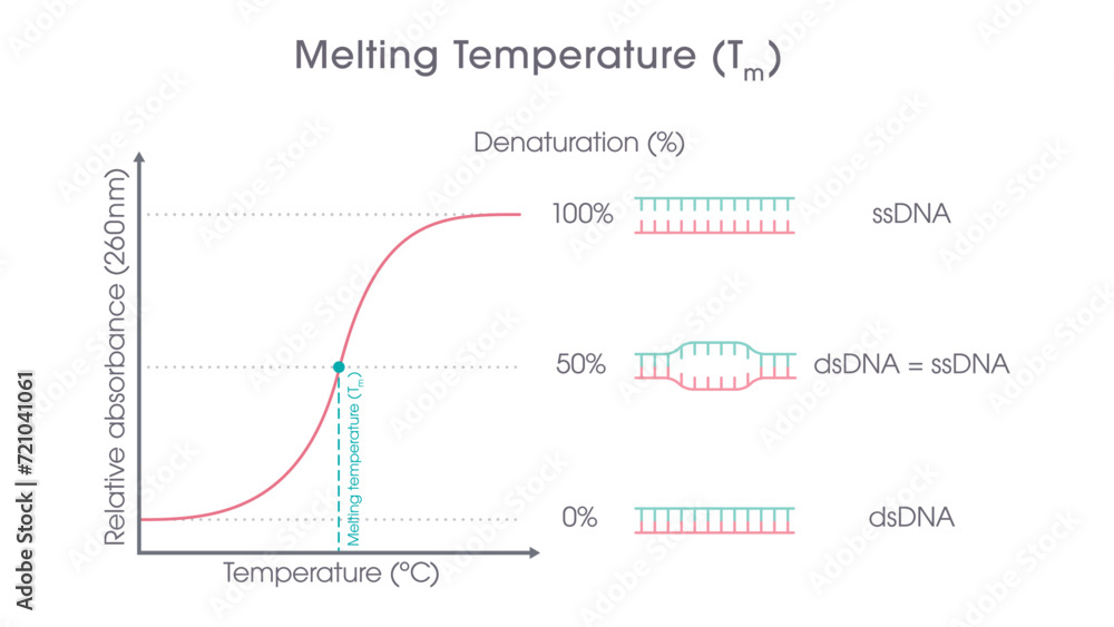DNA Melting Temperature genome sciences graphic DNA Melting Temperature genome sciences graphic