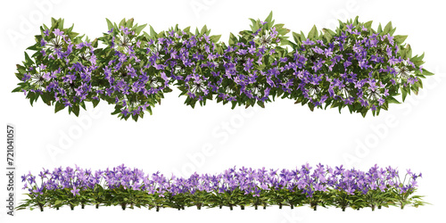 Set of violet flowers, 3d rendering, front and top view, cutout for digital composition, illustration and architecture visualization photo