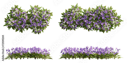 Set of violet flowers, 3d rendering, front and top view, cutout for digital composition, illustration and architecture visualization photo