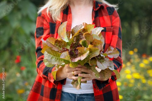 Fotografía A gardener with a bunch of brown and green lettuce in the blooming garden