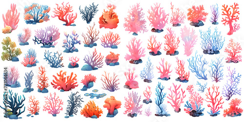 Fototapeta Naklejka Na Ścianę i Meble -  Watercolor coral reef clipart for graphic resources