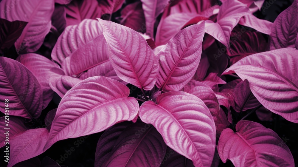 Beautiful pink background with leaves of ornamental plants, stock photo Generative AI