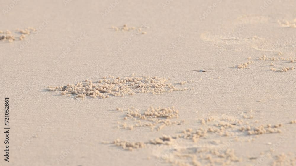 Sandy Beach Texture Transformation Sandy Beach Texture Transformation