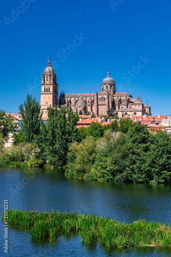 Salamanca Cathedral with Tormes River , Spain.