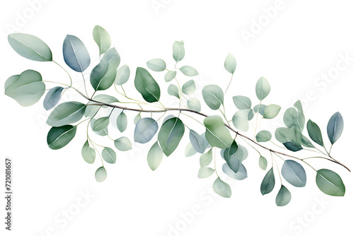 Eucalyptus Leaves Border Watercolor Illustration for Wedding Invitations and Stationery Design