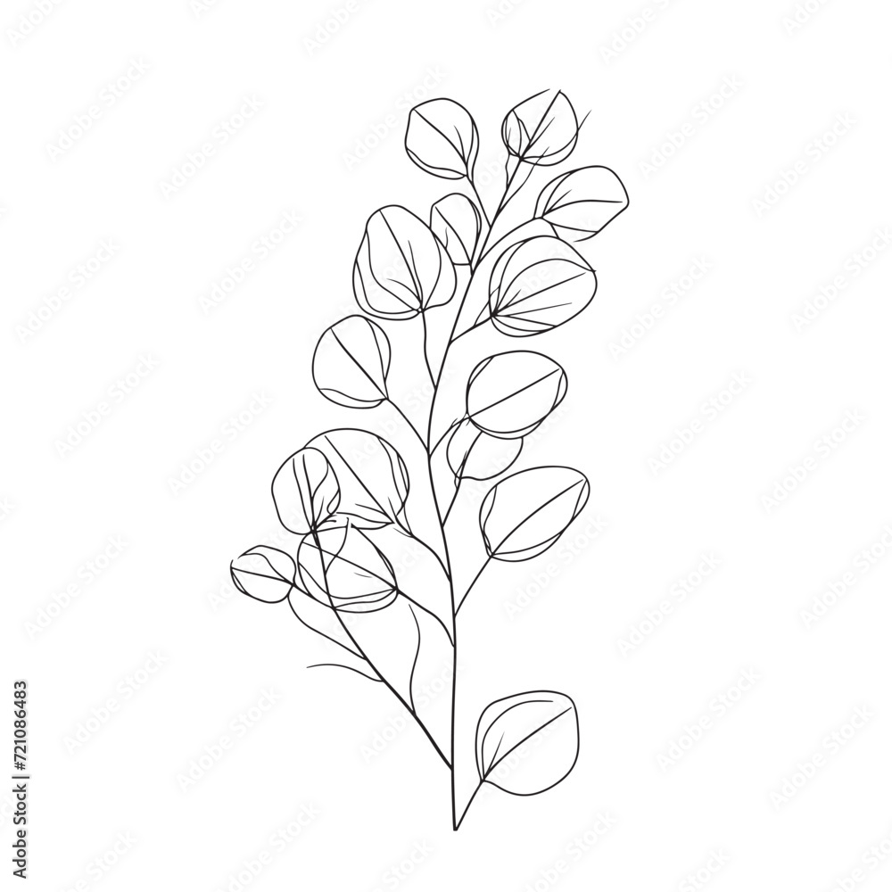 Eucalyptus branch abstract line art drawing for logos and invitations Eucalyptus branch abstract line art drawing for logos and invitations