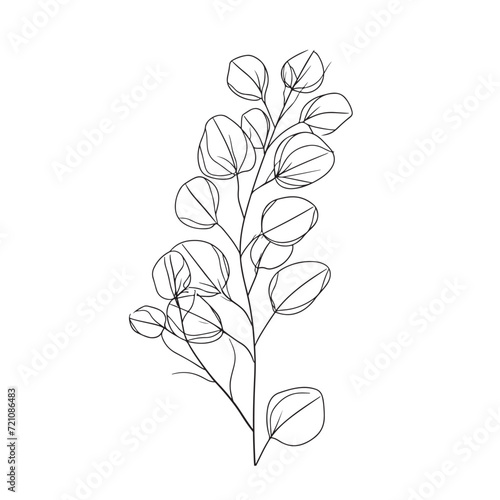 Eucalyptus branch abstract line art drawing for logos and invitations