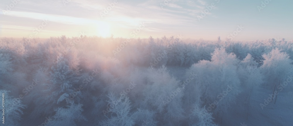 Obraz premium Scenic aerial view of snowy tree tops with white branches growing in winter forest in daytime in cold weather.