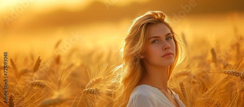 Young, Beautiful Woman in a Golden Wheat Field - Captivating Images of a Young, Beautiful Woman Exuding Radiance in a Stunning Golden Wheat Field