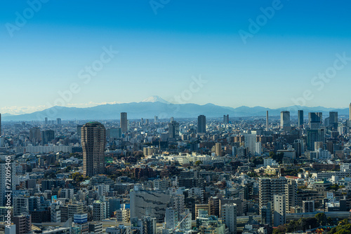 panoramic view of Tokyo  Japan