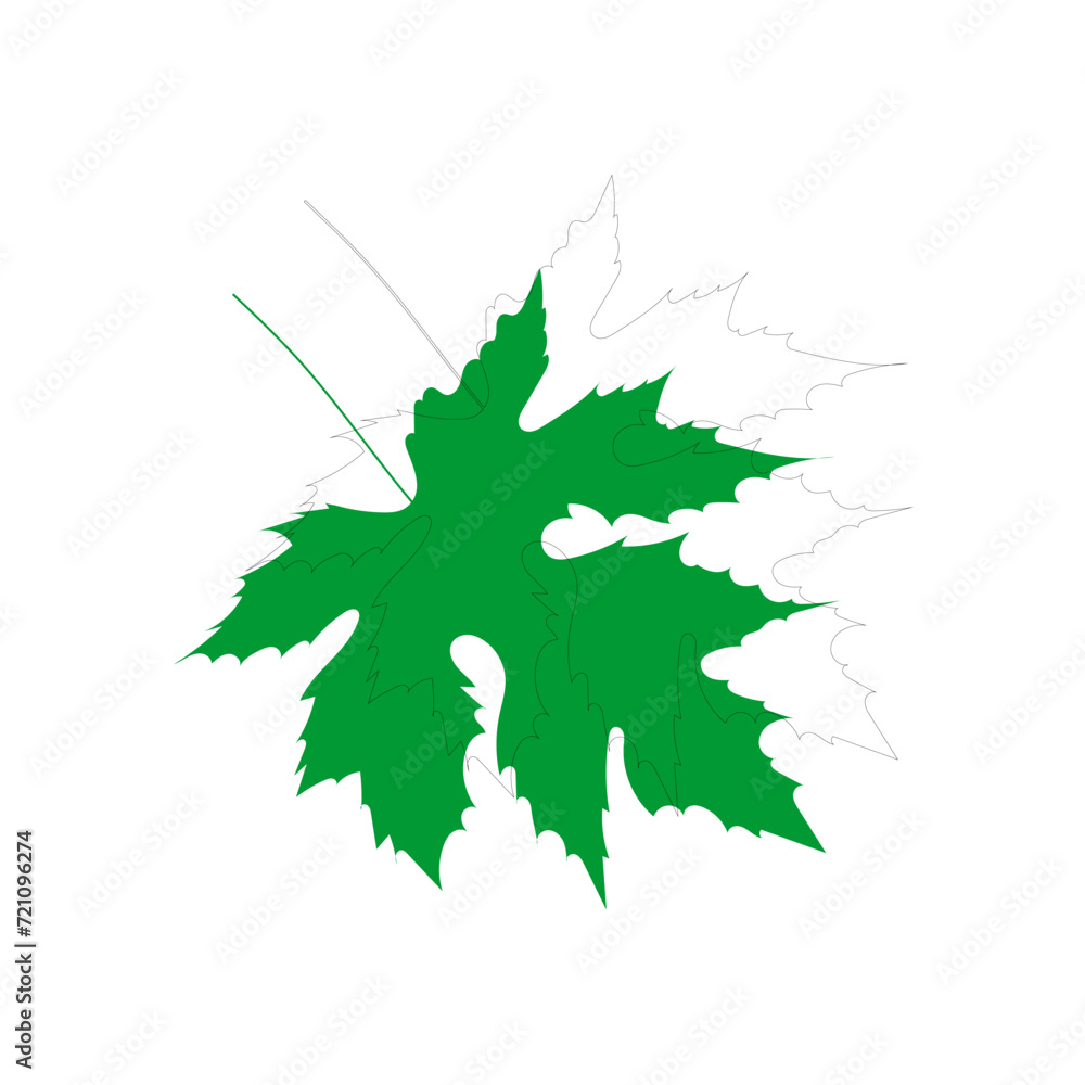 Fototapeta premium vector element leaf in green color leaf