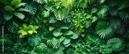 Set  Tropical Vertical Backgrounds Leaves, Wallpaper Pictures, Background Hd © MI coco