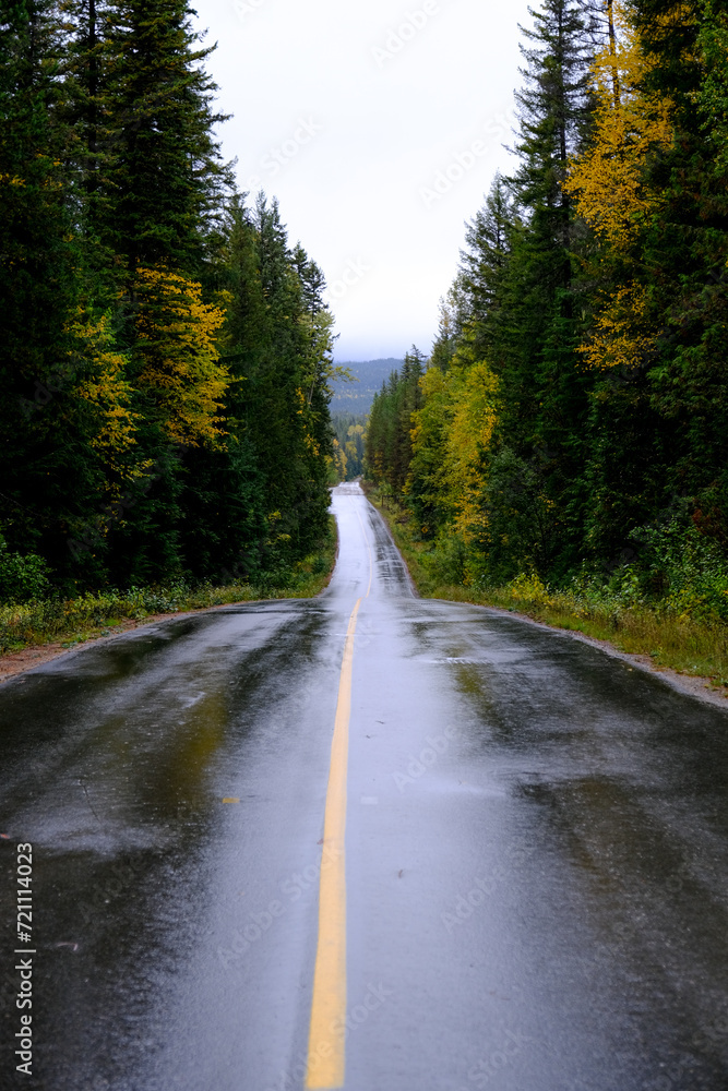 Rainy Road through Wells Gray Provincial Park: A yellow line guides through the wet wilderness, weaving amidst towering trees in a tranquil forest journey. BC, Canada, October 2021