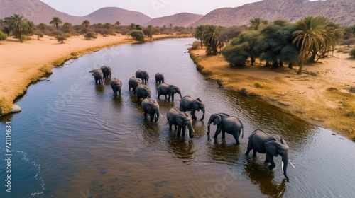 A herd of Elephants came to water at an oasis in the middle of the desert