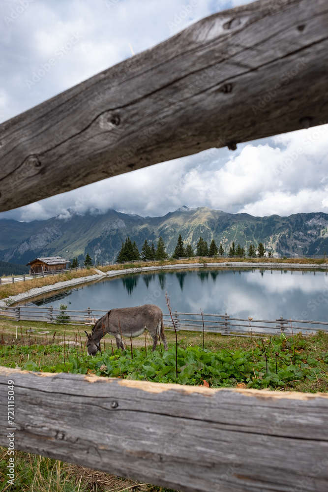 Trentino Alto Adige, the pearl of Italy