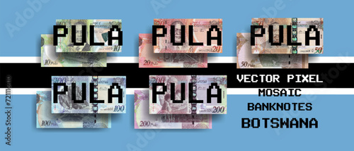 Vector set of pixel mosaic banknotes of Botswana. Collection of notes in denominations of 10, 20, 50, 100 and 200 pula. Obverse and reverse. Play money or flyers.