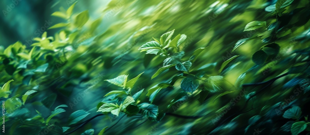 Vivid Green Leaves Engulfed in a Hypnotic Blur of Green, Leaves, and Blur