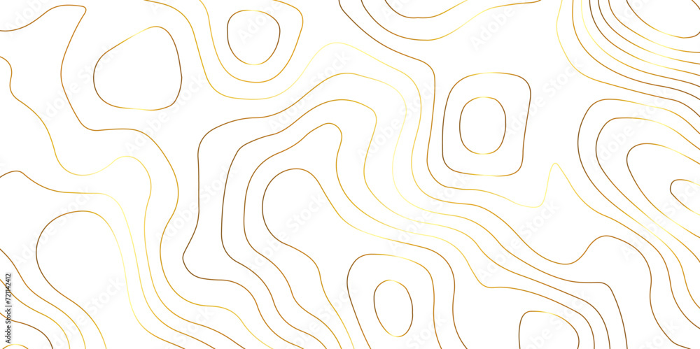 Abstract background with topographic contours map with geographic golden line map .white wave paper curved reliefs abstract background .vector illustration of topographic line contour map design .