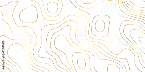 Abstract background with topographic contours map with geographic golden line map .white wave paper curved reliefs abstract background .vector illustration of topographic line contour map design .