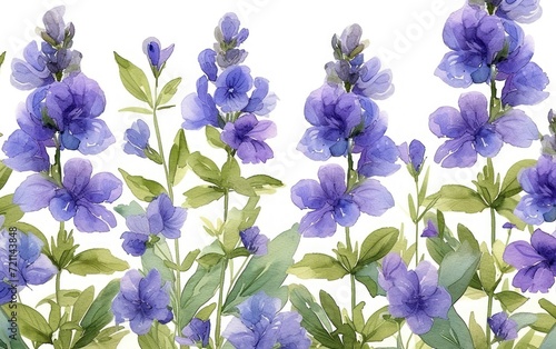 watercolor lavender flowers on background  green leaves watercolor 