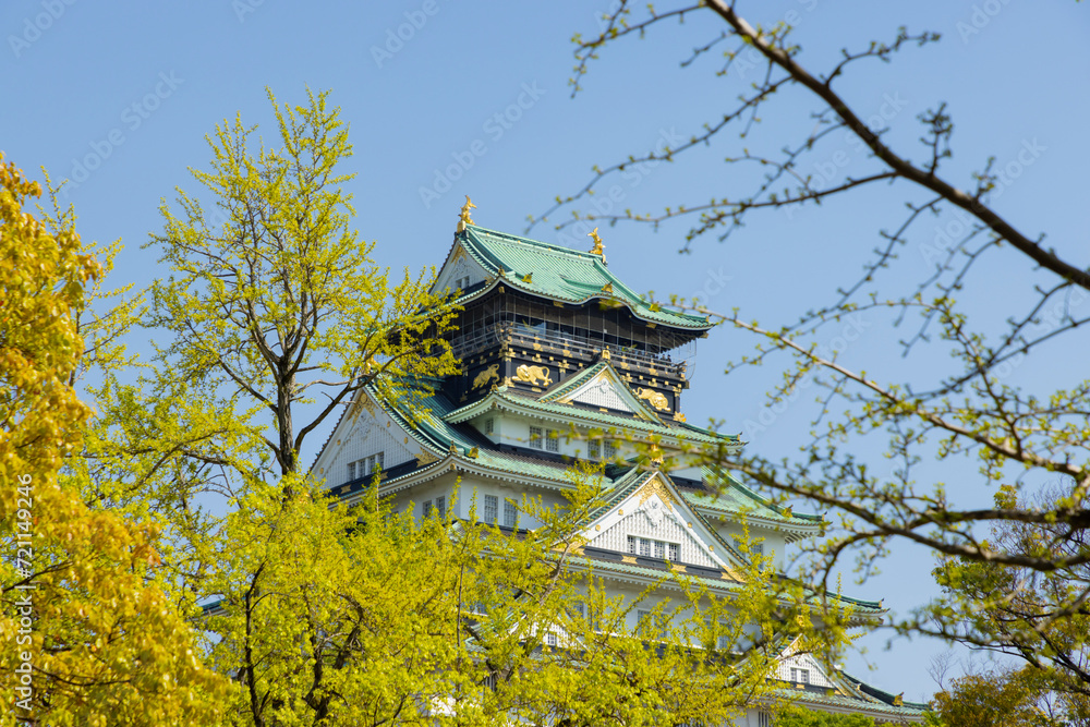 Fototapeta premium 春の大阪城
