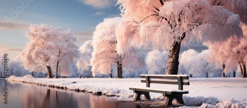 snow covered wooden bench in forest in city park in winter around red color leafed trees